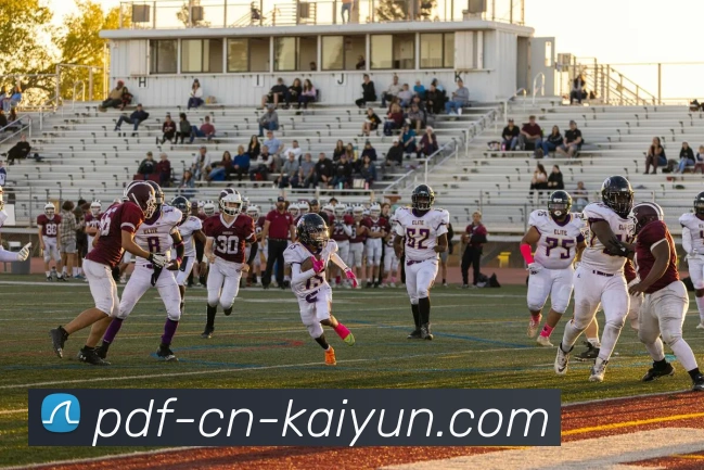 开云APP 体育赛事宣传图